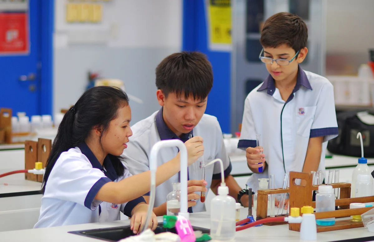学生在新加坡三育中小学如何进行科学探究